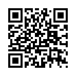 复古棉麻重工圆形刺绣松紧领口女衬衫