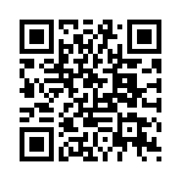 睿量 时尚数码双肩包 BAG-15