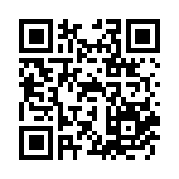 REMAX睿量 慧影 氮化镓快充适配器+C-C数据线套装 CA09(C30W)