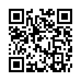 REMAX睿量 慧影 氮化镓快充适配器+C-C数据线套装 CA10(C40W)