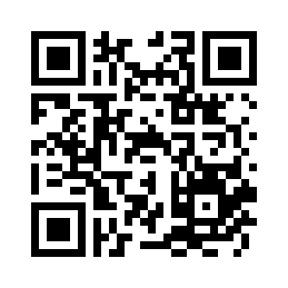 睿量 极速 67W 单C氮化镓折叠旅行适配器+C-C数据线套装 CA-16(C67W)