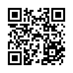 ins风巴洛克化妆镜磨砂质感简约随身便携镜口袋镜手持镜补妆镜
