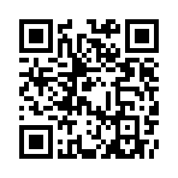 荔枝皮机舱背包