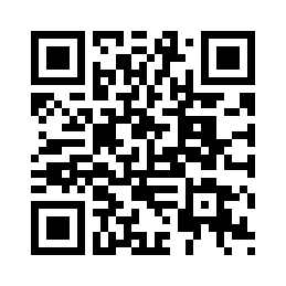 ins风黑白花卉高颜值折叠双面化妆镜便携镜补妆小镜子批发补妆镜