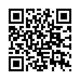 ins风高级银色水波纹手持镜便携镜化妆镜补妆镜口袋镜双面小镜子