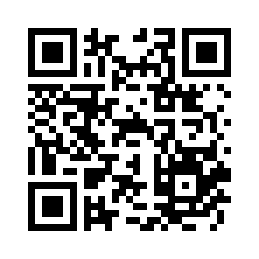 睿量 睿界 自带Type-C伸缩线PD40快充移动电源  FP-123