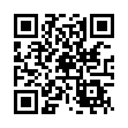 INS风电镀水波纹大号圆形化妆手持镜美容院镜子化妆镜补妆手柄镜