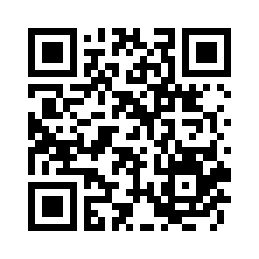 zakka杂货 木质工艺品 原木动物雕刻 海鸟木质摆件 铁木鸟6087