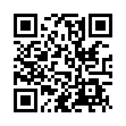 仿真花 红色姜花装饰花 样板房办公室家居客厅茶几摆放装饰花 NF06