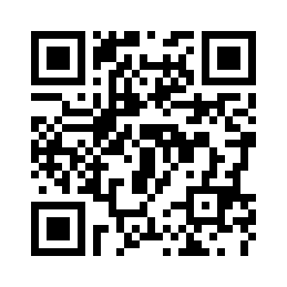 优质唐山骨瓷咖啡单壶家用